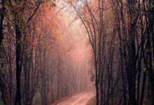 开云官网：拉脱维亚-安道尔，达里奥-希茨打进全场唯一进球.