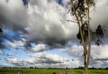 开云官网:胜平,阿根廷在过去场对阵巴西的比赛中未尝败绩.