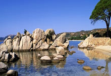 开云官网：加油！国乒半决赛将再战罗马尼亚WTT世界乒联微博.